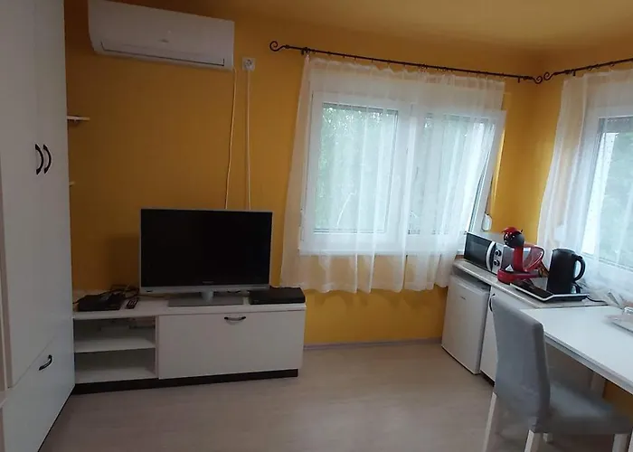 Guest house Vidra - 60 Meters From Balaton! Zamardi