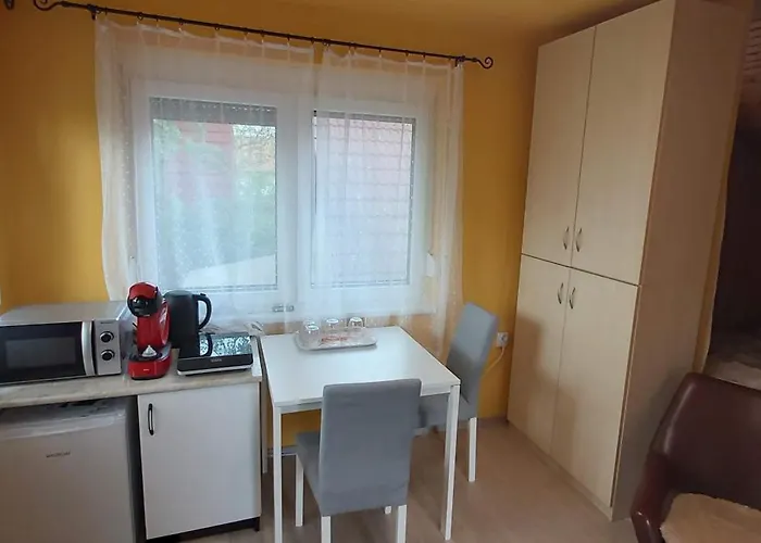 Guest house Vidra - 60 Meters From Balaton! *